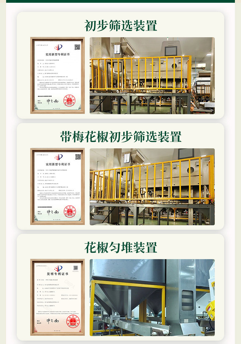 安享好物 安享S级干辣椒-如实新一代辣椒段 国标 