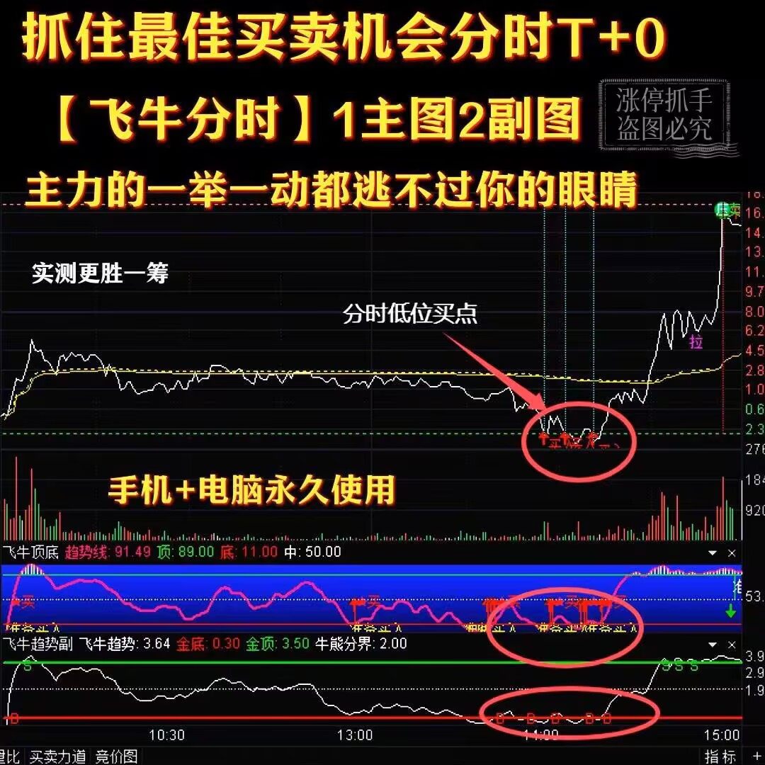 股票超绝做T神器：分时图战法指标公式，教你精准把握买卖时机！-刻录盘个性化服务-淘宝百科网