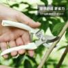 Gardening Scissors, Stainless Steel Garden Shears, Flower Shears, Fruit Tree Shears, Greenery Pruning Shears, Branch Picking Shears, Special Scissors for Pruning Branches, Flower Trimming Tools