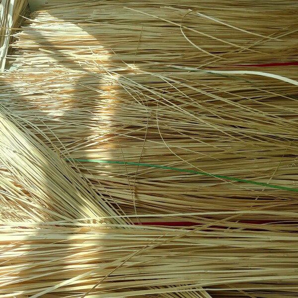 Bamboo Strip Bamboo Woven Strip Thin Bamboo Piece Landscaping Weaving Gardening Floral Handicraft DIY Material Wedding Decoration Bamboo Strip