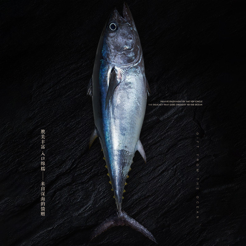 鱼悦食品旗舰店