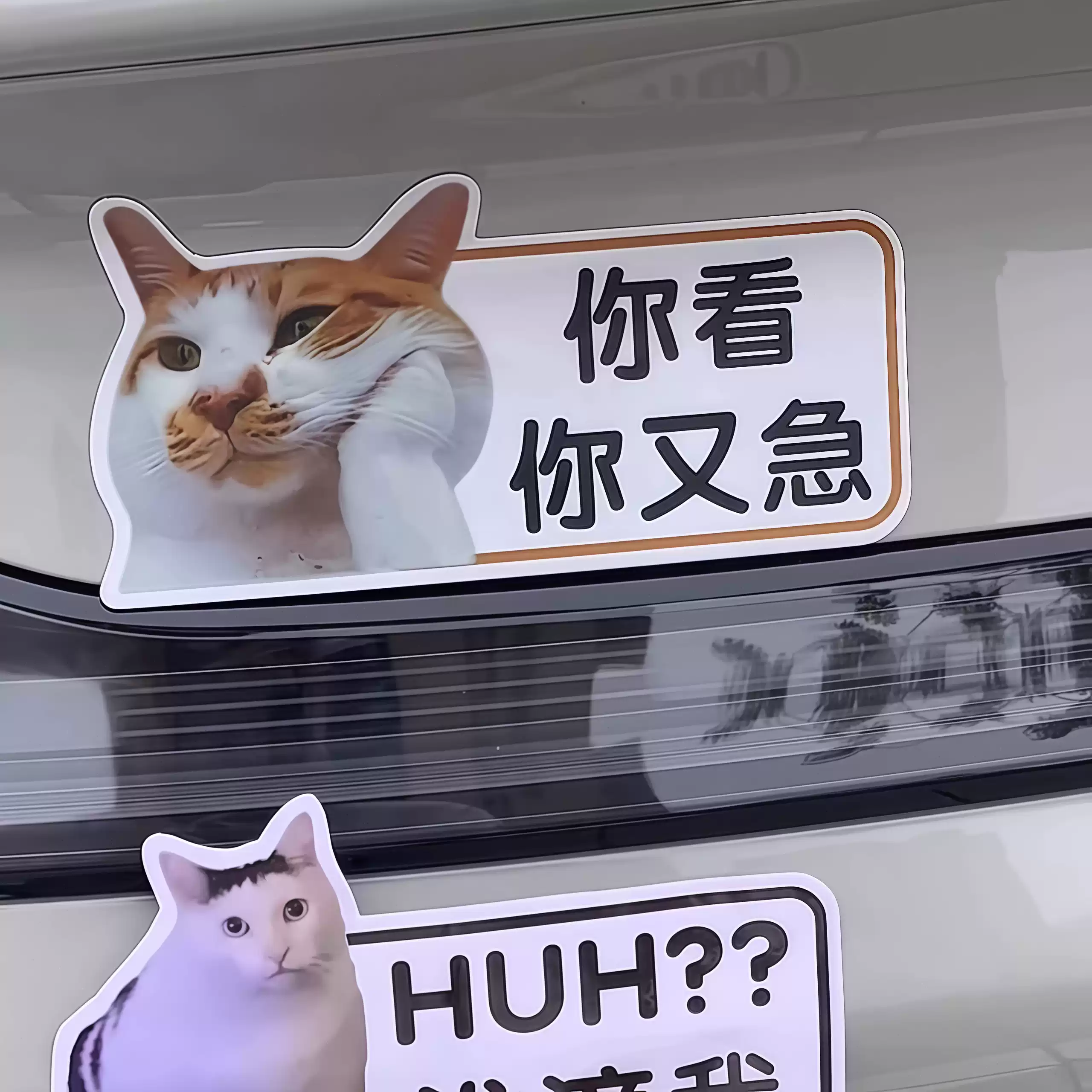 meme貓車貼迷因貓驚訝表情女司機幽默搞笑創意個性防水車窗貼新手