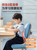 Xtep Children's Lumbar Support Cushion for Primary School Students, Posture Correction Chair for Writing, Anti-Head-Down Homework Tool, Classroom Seat Cushion