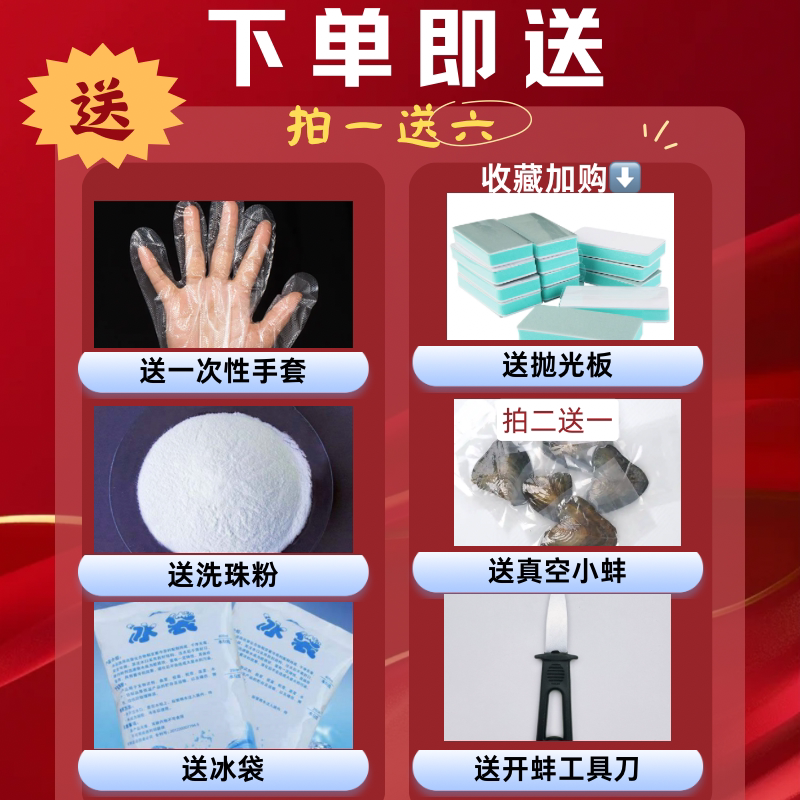 自己开蚌取珍珠太上头了!天然淡水珍珠蚌测评+开蚌全过程,手气好能开出仙女级项链!-其他-淘宝好物网
