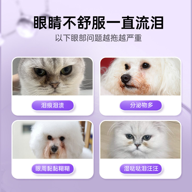 Paisle Dha Blueberry Lutein for Cats to Relieve Tear Stains, Protect Dogs' Eyesight, and Reduce Eye Discharge Pet Nutritional Supplement