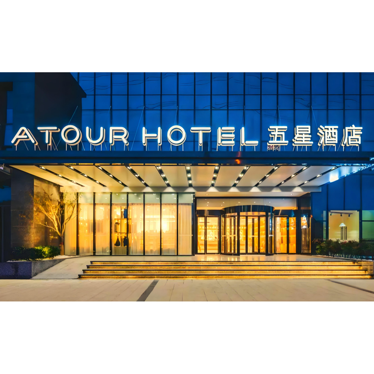 五星级酒店深睡枕