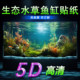 Eco-Aquatic Plant Tank Landscaping High-End Fish Tank Background Sticker 5D Stereo High-Definition Image 3D Painting Self-Adhesive Wallpaper