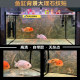 Fish Tank Background Stickers, Realistic 3D Marble Wallpaper Decals, Aquatic Plants and Stream Tank Landscaping Decoration with Adhesive Backing
