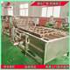 Vegetable prefabricated vegetable bubble cleaning machine, greening machine, egg processing complete equipment, mushroom deep processing machine