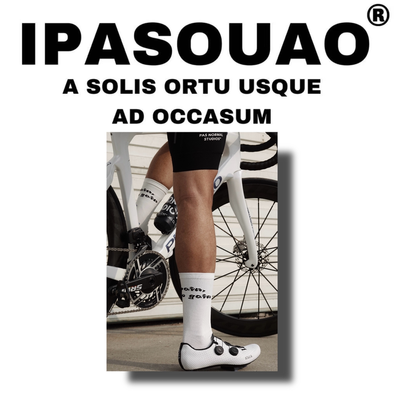 Ipa2545Pro: Professional Cycling Socks 2.0 | Sports Socks Quick-Drying, Sweat-Absorbent, Breathable for All Seasons, High-End Creative White