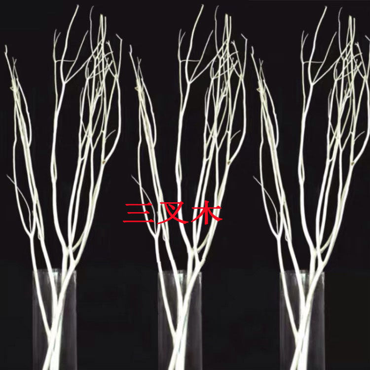 Natural Branches Dried Flowers Minimalist Fashion Trim White Dry Branches Flowers Tripods Wood Shop Windows Decorate Living-room Cubicle Branches