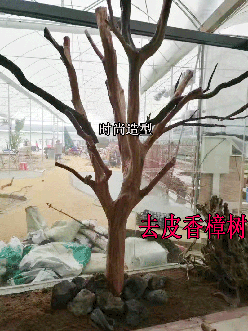 Coffee decorated bar decorated tree dry tree champagne prop tree camera background simulation tree decoration