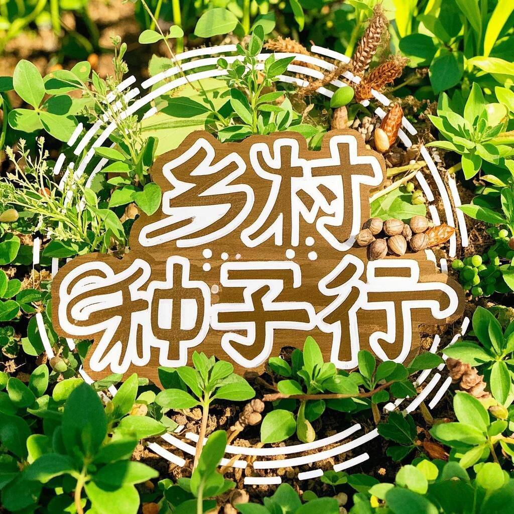 乡村种子行
