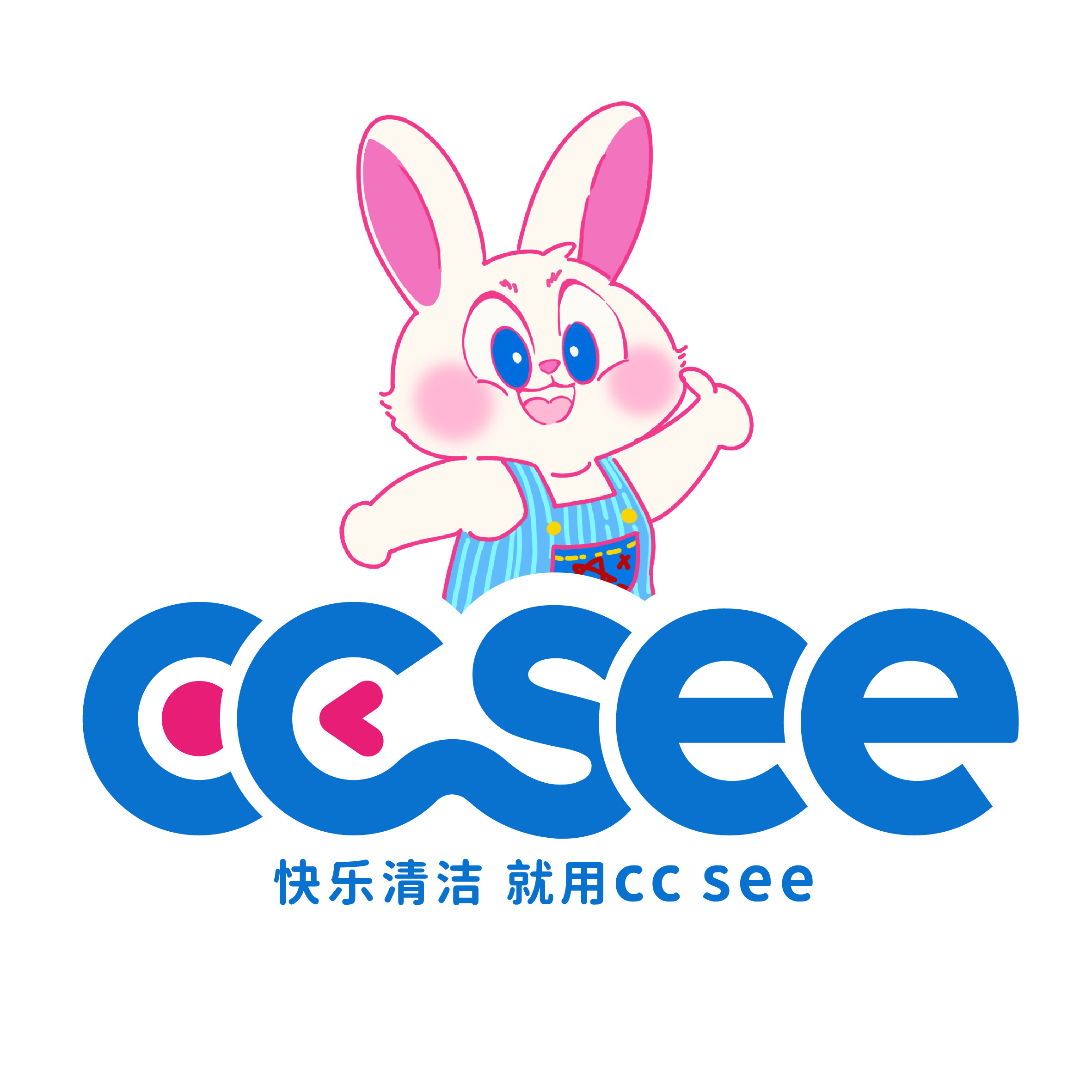 ccsee旗舰店