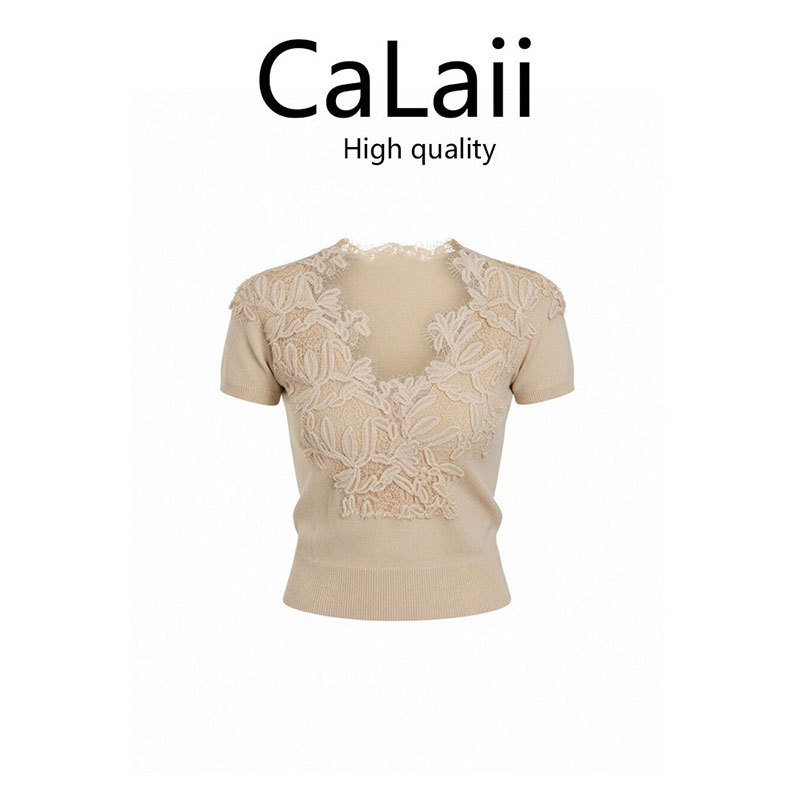 Pure Desire Style V-Neck Lace Trim Knit Short-Sleeve T-Shirt for Women, New Summer Design with a Slimming Waist, Short Top