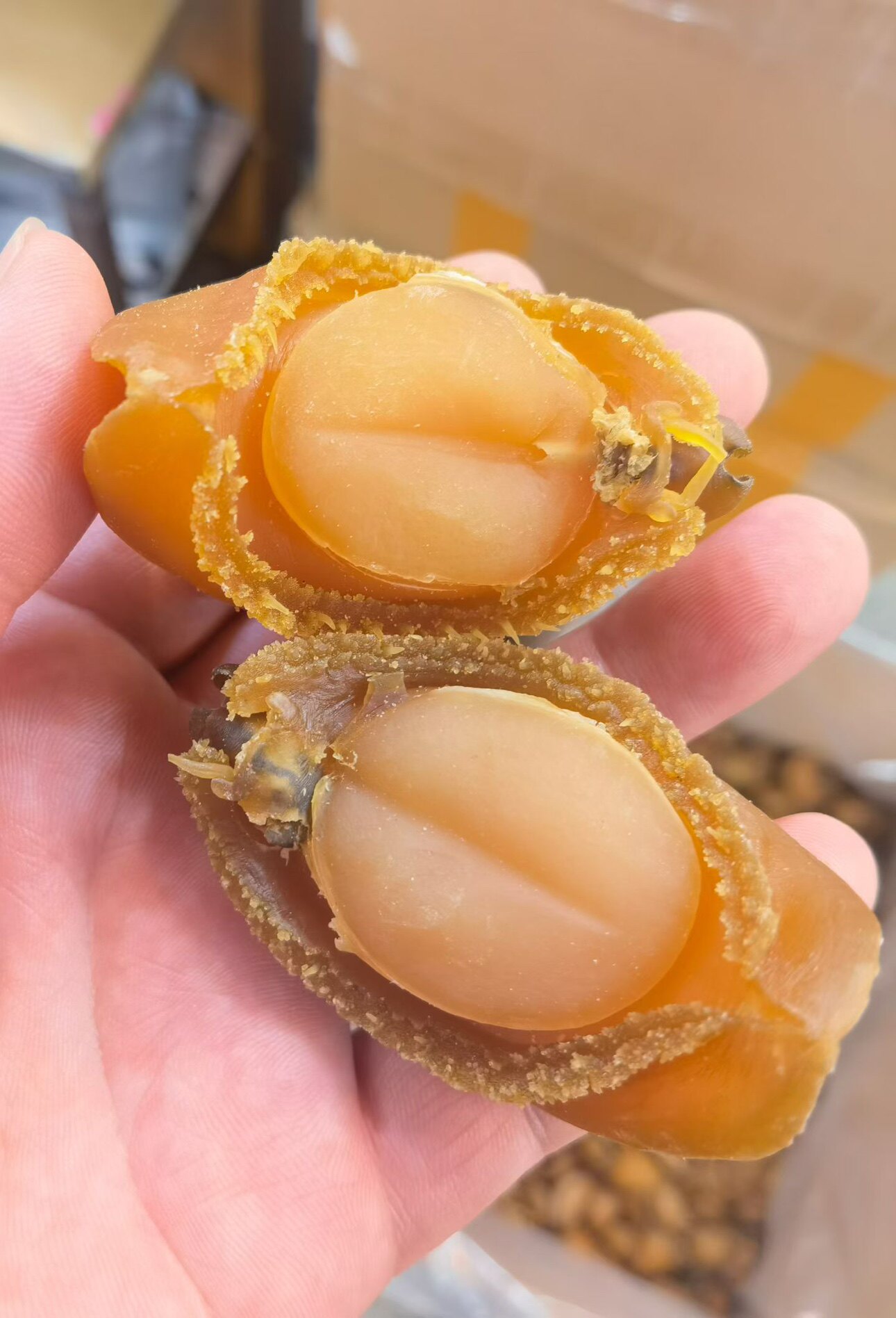 王记海味干货商行的LOGO