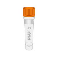 GFP琼脂糖凝胶 GFP-beads, GFP-probe antibody agarose beads