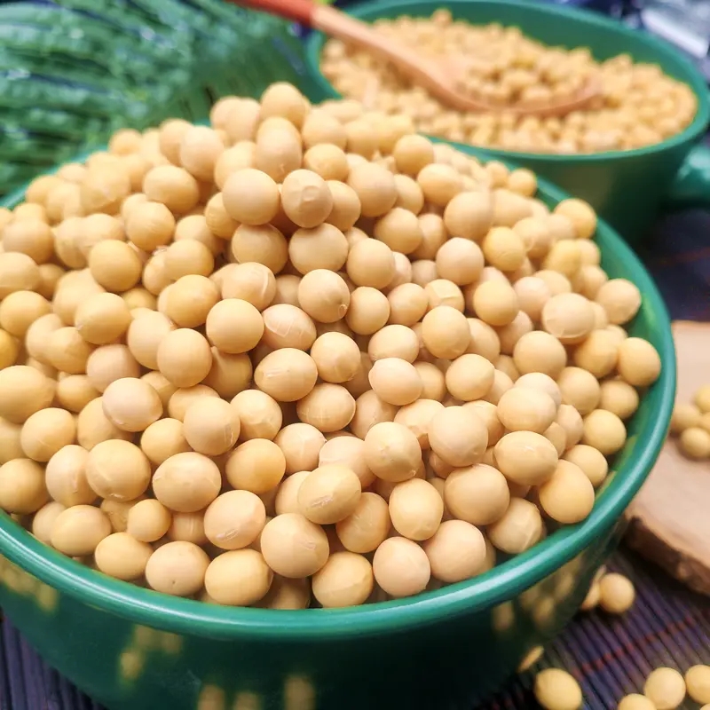 Hehe Sui Sui Northeast Africa genetically modified soybeans 500g farmhouse soybean sprouts soy milk cereals breakfast wholesale new goods