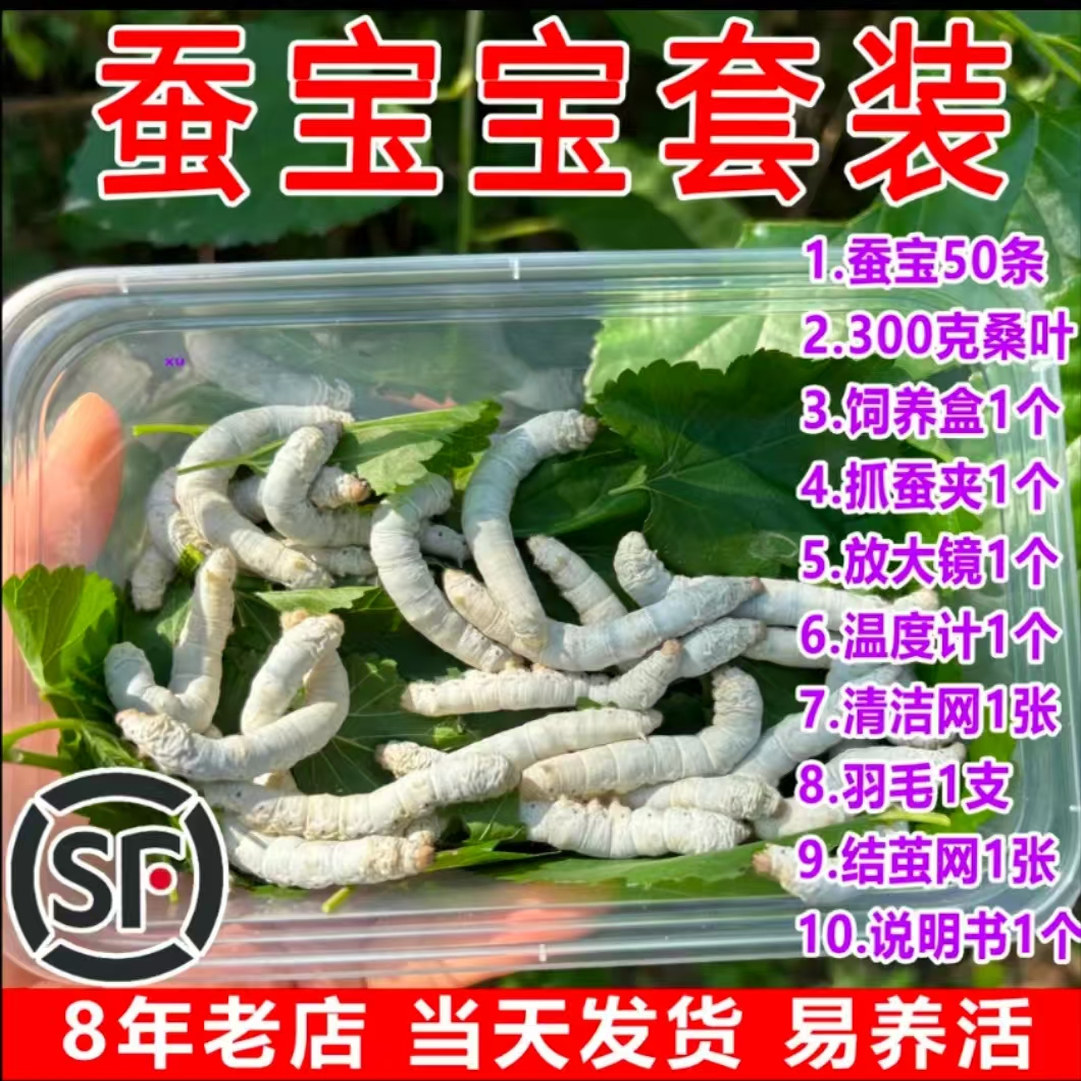 蚕宝宝卵套装: التربية家必备,轻松开启养蚕之旅!🌿 -蚕宝宝-淘宝好物网