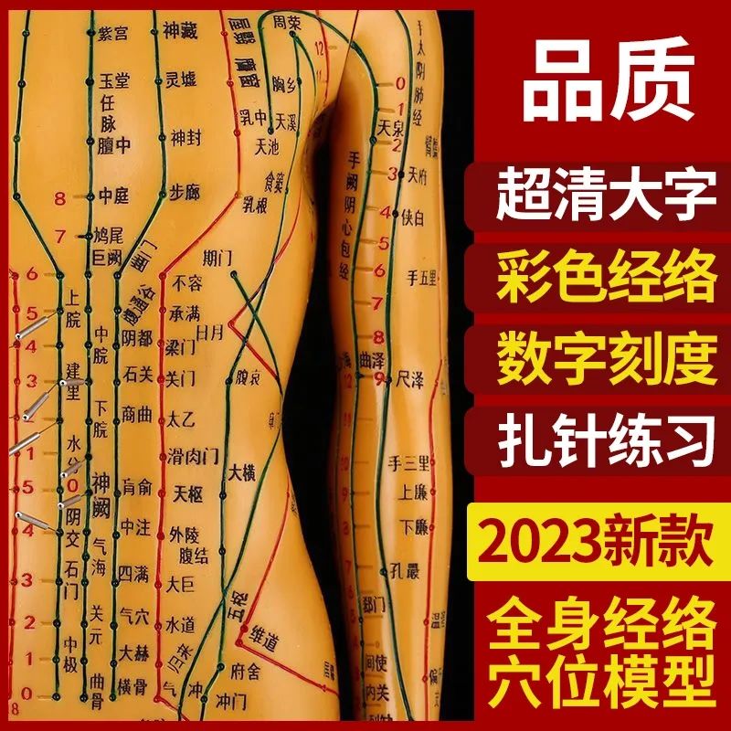 针灸穴位人体模型全身中医十二经络图铜人模特图可扎针练习小皮人