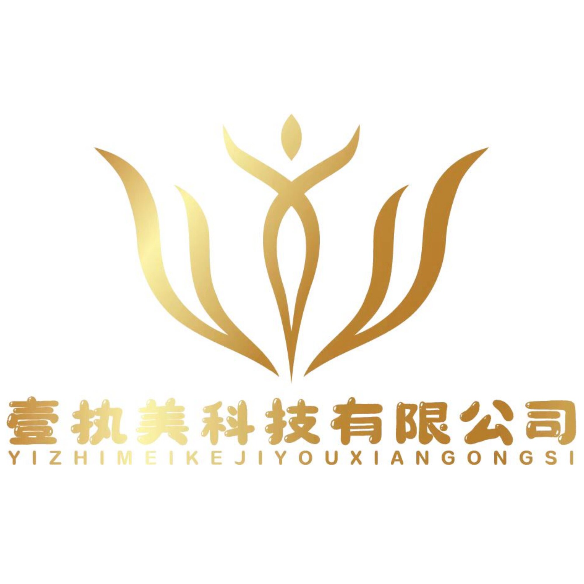 广州壹执美科技企业店