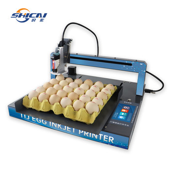 Colorful fully automatic egg inkjet printer small whole plate printing production date serial number egg product duck egg coding machine