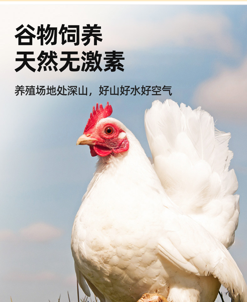 O1CN01GeEYUa1qnpgE00NNU_!!2219444935541.jpg