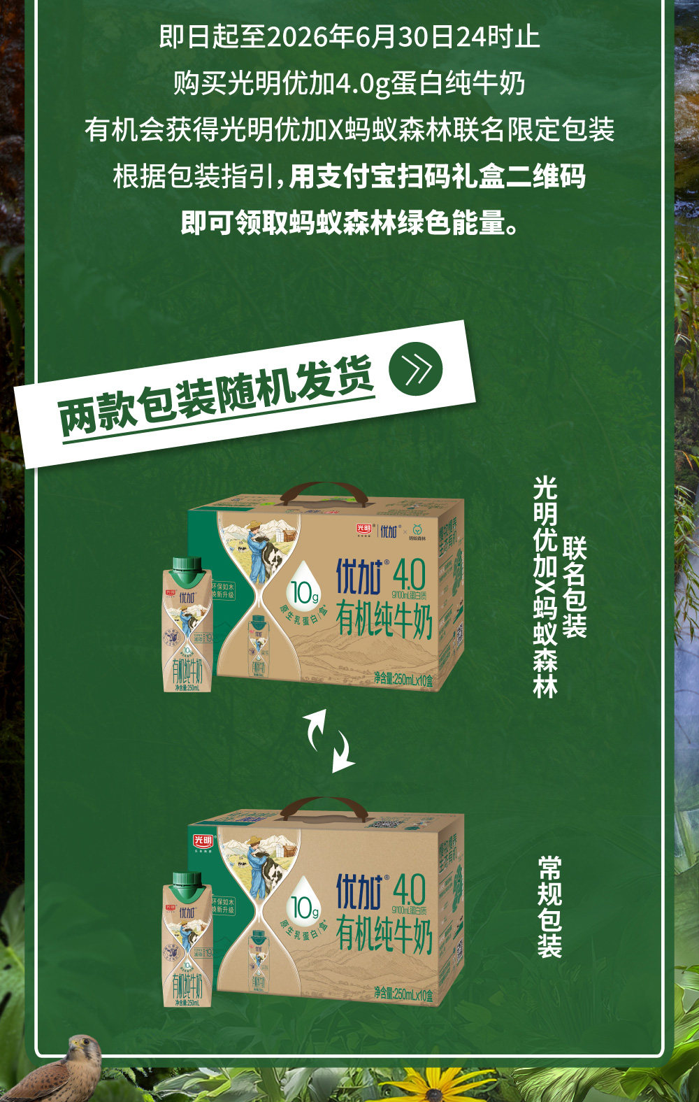 安享好物 安享A级纯奶-光明优加 有机 4.0纯牛奶 国标 