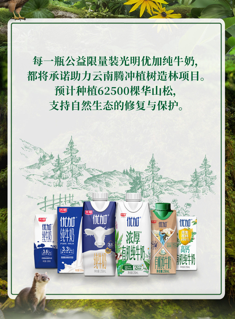 安享好物 安享A级纯奶-光明优加 有机 4.0纯牛奶 国标 