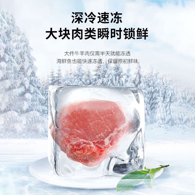 奥克斯BD/BC-74A158D冰箱图片