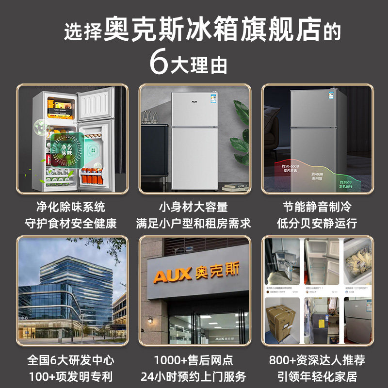 奥克斯BCD-110A218D冰箱图片