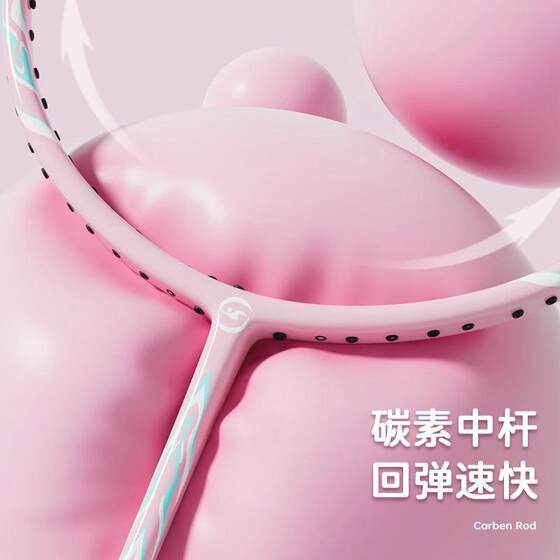羽毛球拍轻盈碳素纤维专业初学者女生男生成人双拍套装