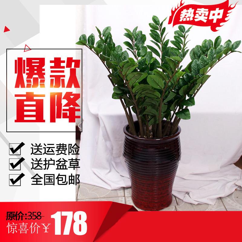 Artificial Money Tree, Fake Tree, Artificial Plant, Large Potted Plant, Office Living Room Decoration, Floor-Standing Green Plant Decoration, Money Tree