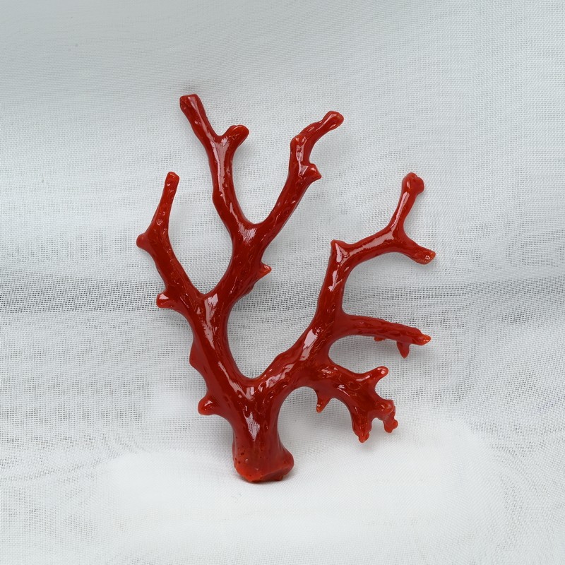 天然珊瑚、 天然 珊瑚 桃色珊瑚 原木 枝珊瑚 サンゴ | ブランド品委託