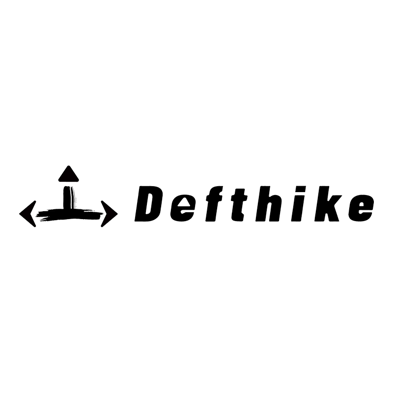 迪飞客旗舰店的LOGO