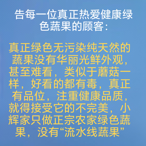 汪小辉自家菜园小店的LOGO
