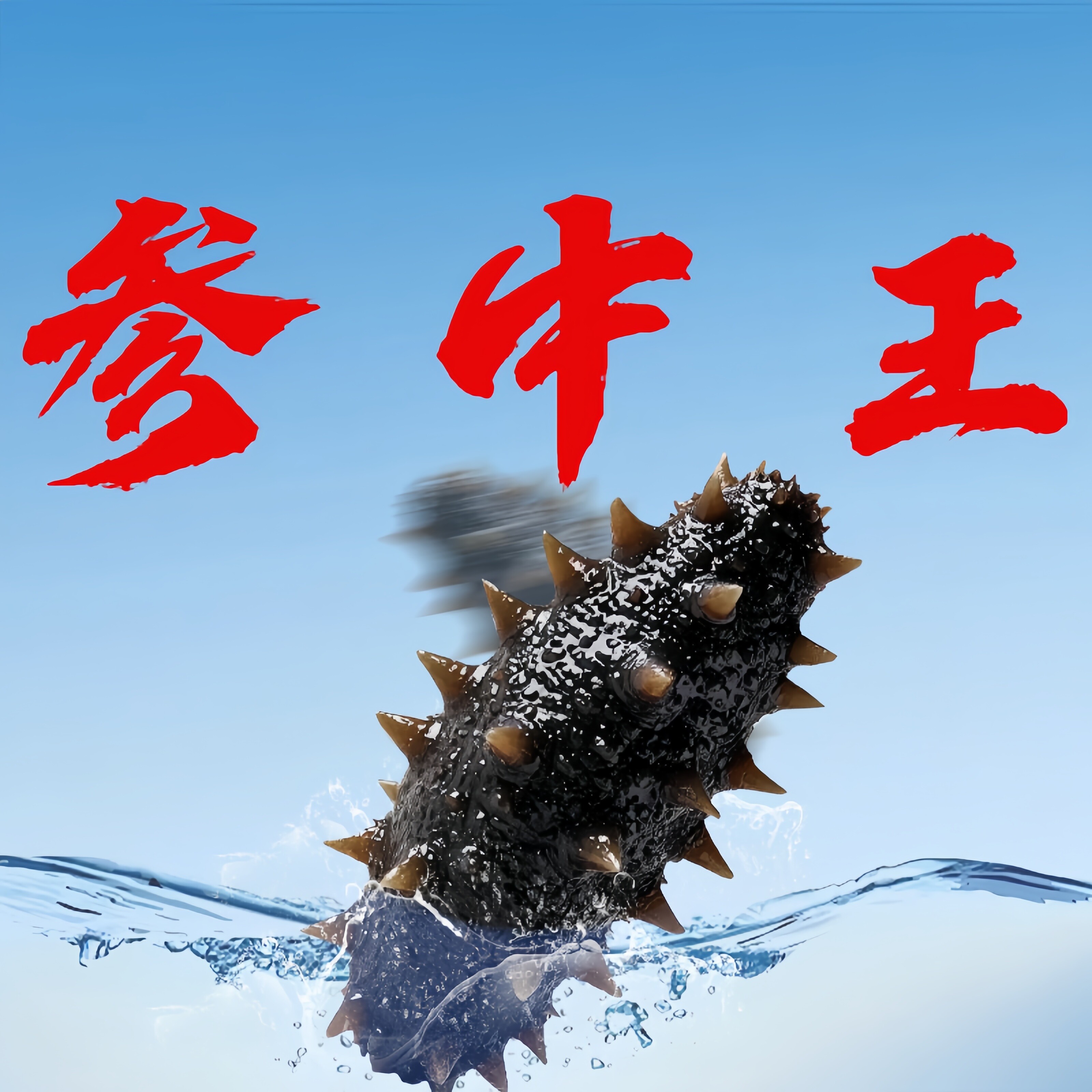 参中王大连海参