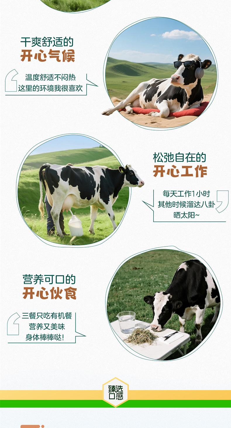 安享好物 安享S级纯奶-圣牧有机 4.0纯牛奶 国标