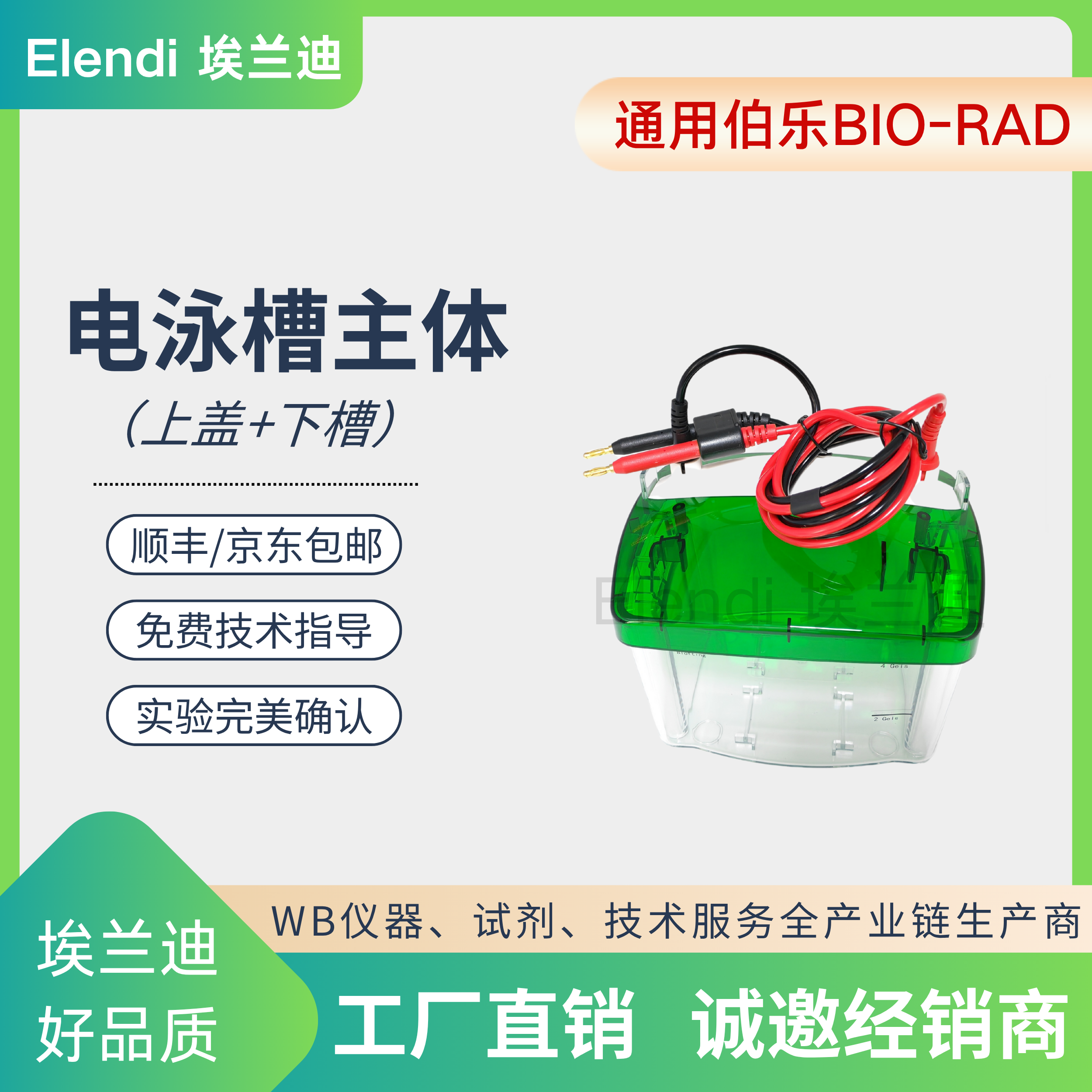 伯乐电泳槽上盖下槽制胶器夹胶框梳子玻璃板密封条导线国产通用