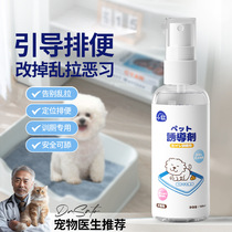 Dog Inducer 100ml Positioning and Fixed Point Defecation Training Toilet Puppy Urinating and Defecating Cleaning Supplies