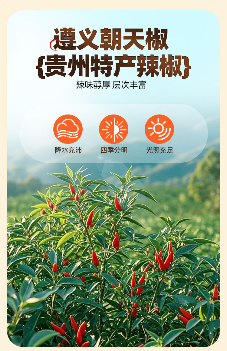 安享好物 安享C级油辣椒-贵三红风味豆豉油辣椒  
