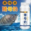 【热销】爆浆猪母奶乳钓鱼小药奶香鲫鲤罗非鱼饵料窝料诱食添加剂