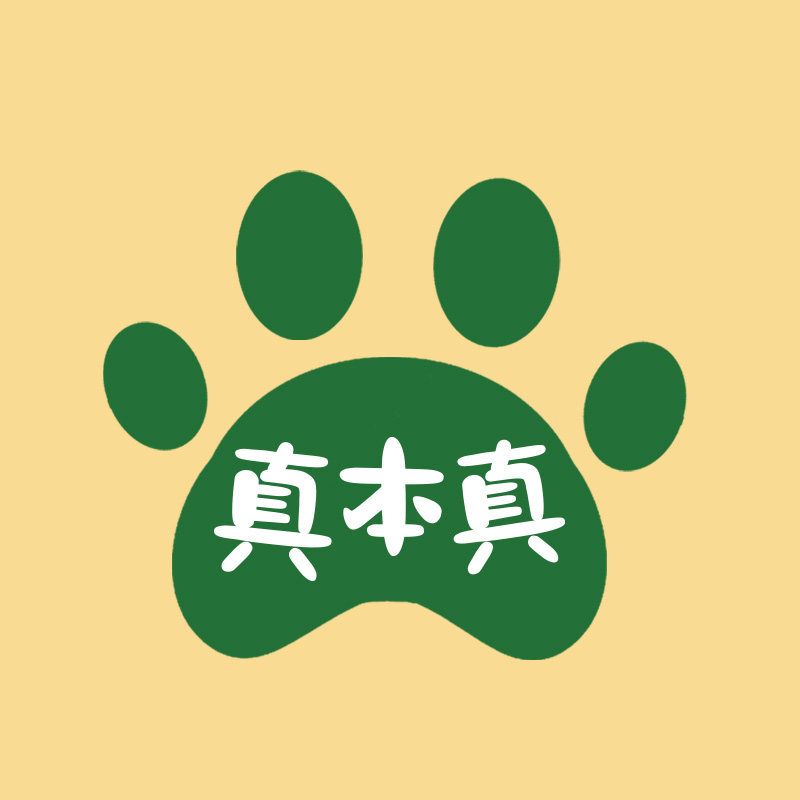 真本真Real