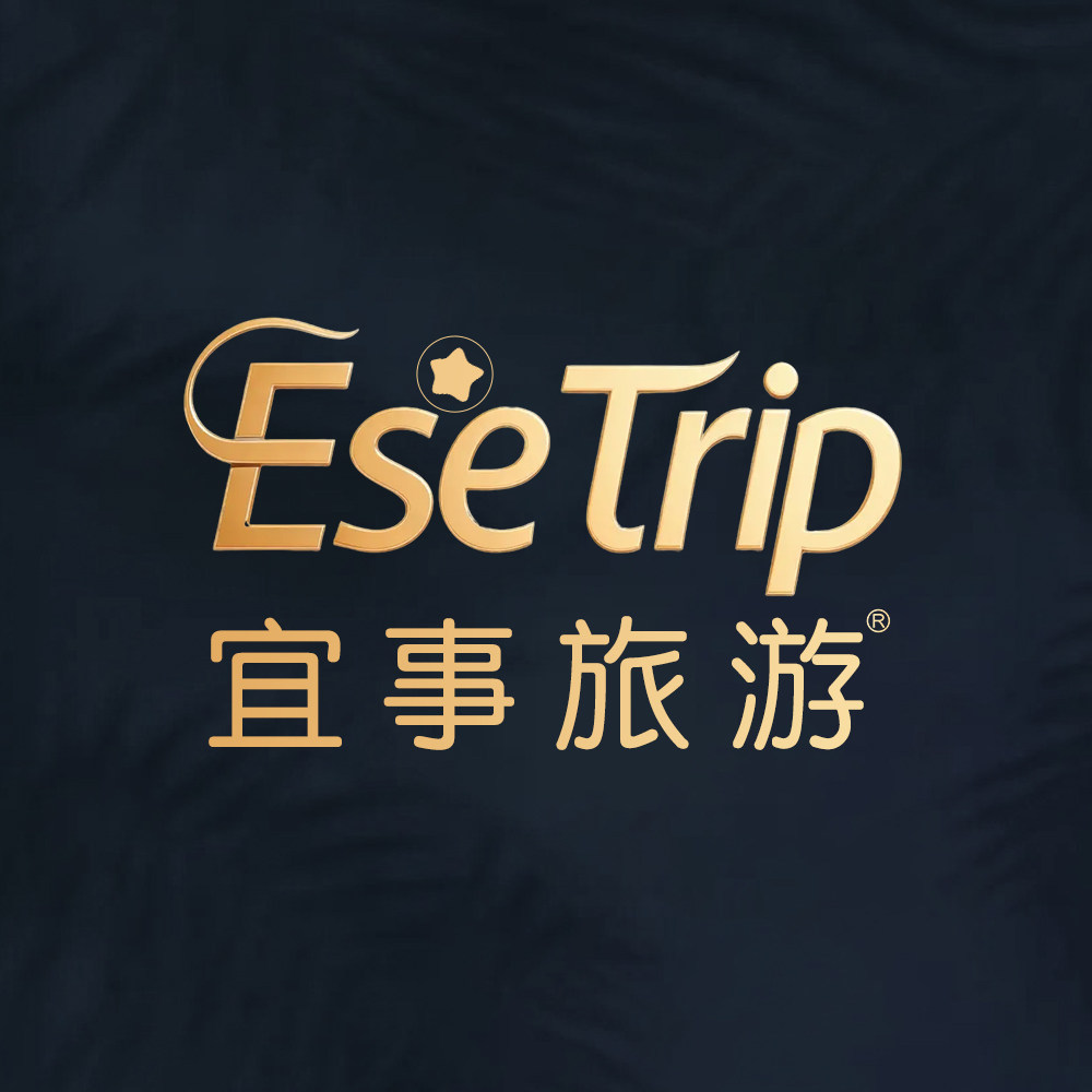 宜事旅游旗舰店的LOGO