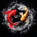 慕氏渔业的LOGO