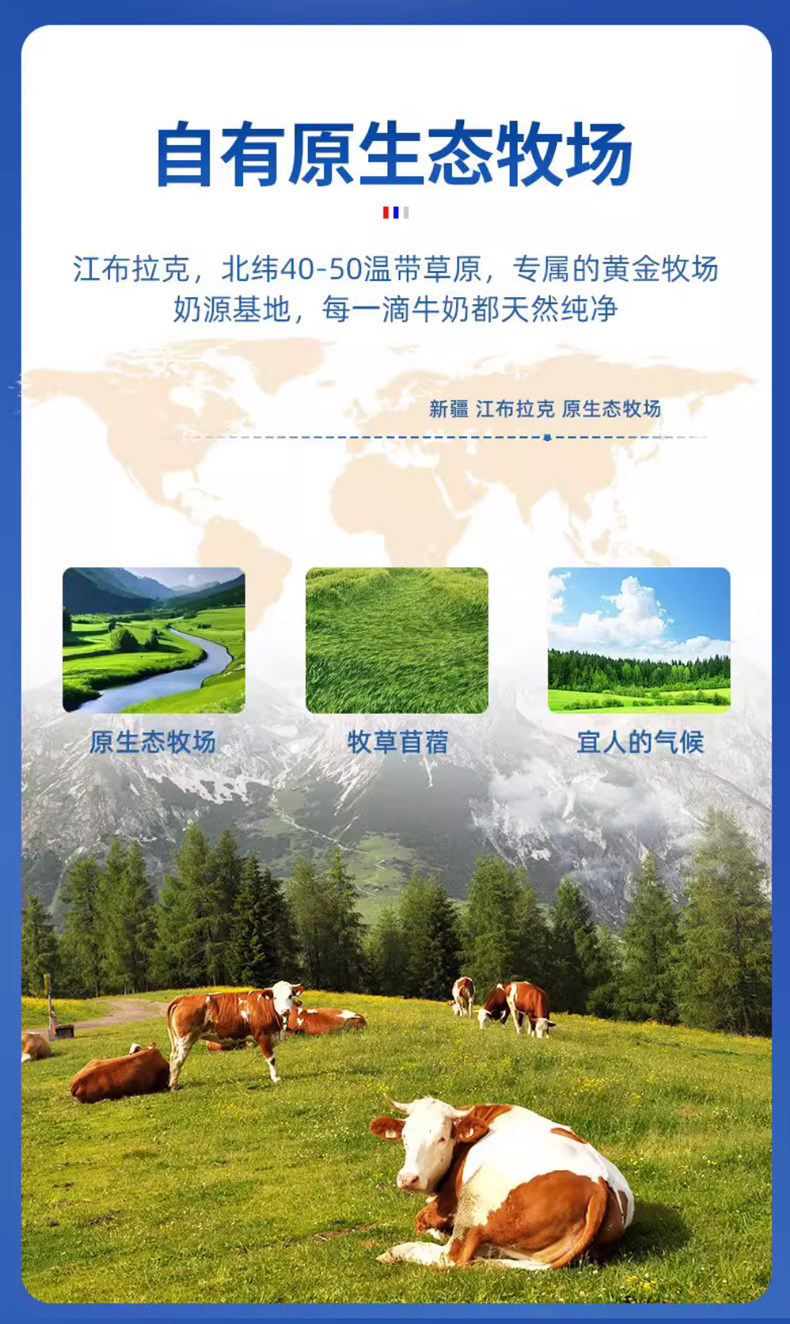 安享好物 安享A级纯奶-芙拉薇赫有机纯牛奶 国标
