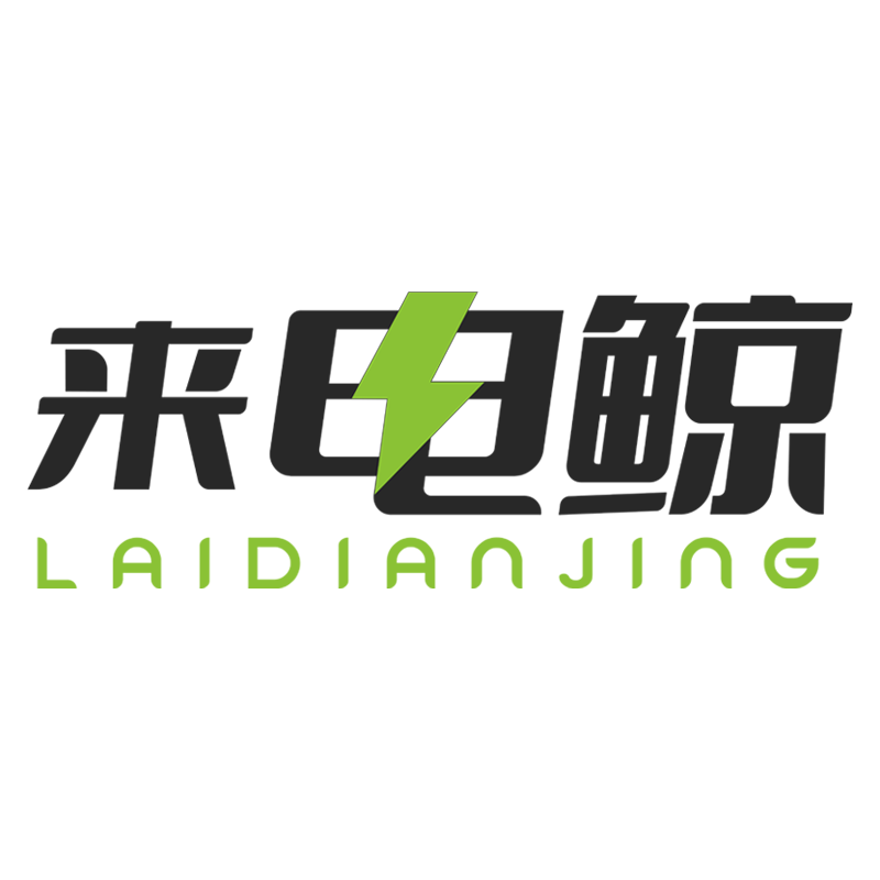 来电鲸锂电动力企业店