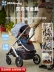 UPPAbaby xe đẩy em bé cao phong cảnh hai chiều VISTA V2 gấp có thể ngồi có thể nằm hấp thụ sốc trẻ em xe đẩy em bé Xe đẩy / Đi bộ