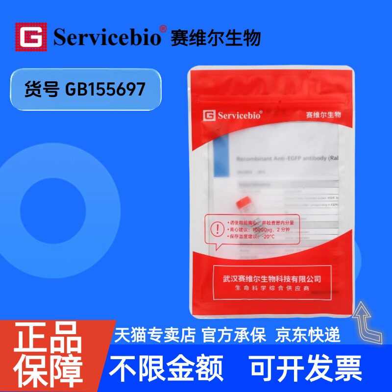 现货 Recombinant Anti-CD9 antibody (Rabbit mAb) GB155697 100ul 科研生物实验抗体 赛维尔生物servicebio