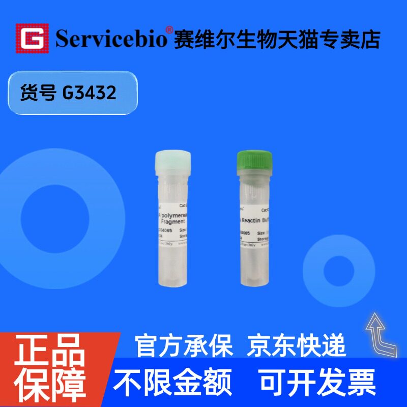 现货 Bsu DNA polymerase, large Fragment 250U G3432 赛维尔生物Servicebio 科研实验 重组蛋白/酶